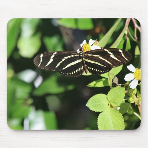 Zebra Longwing Butterfly Mouse Pad
