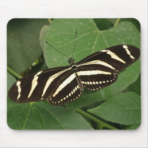 Zebra Longwing Butterfly Mousepad