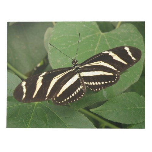 Zebra Longwing Butterfly Notepad