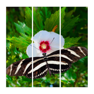 Zebra longwing butterfly on a Hibiscus Red Heart Triptych