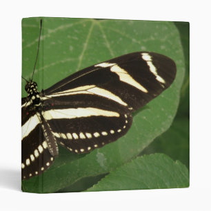 Zebra Longwing Butterfly Photo Album 3 Ring Binder