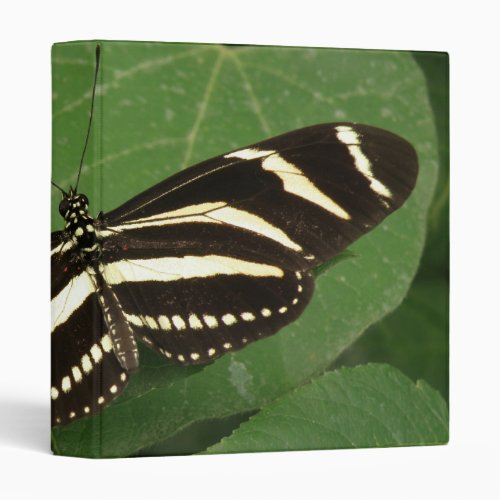 Zebra Longwing Butterfly Photo Album 3 Ring Binder