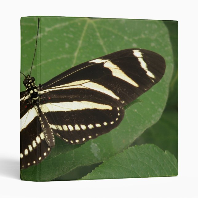 Zebra Longwing Butterfly Photo Album 3 Ring Binder (Front/Spine)