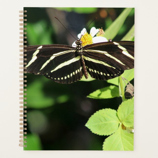 Zebra Longwing Butterfly Planner (Front)
