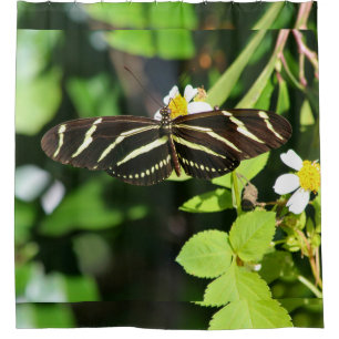 Zebra Longwing Butterfly Shower Curtain