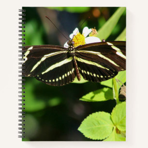 Zebra Longwing Butterfly Spiral Notebook