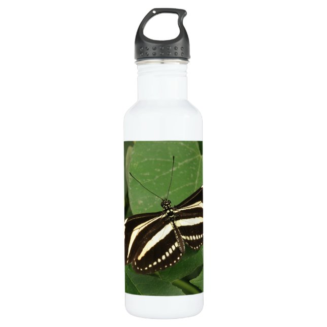 Zebra Longwing Butterfly Stainless Steel Water Bottle (Front)