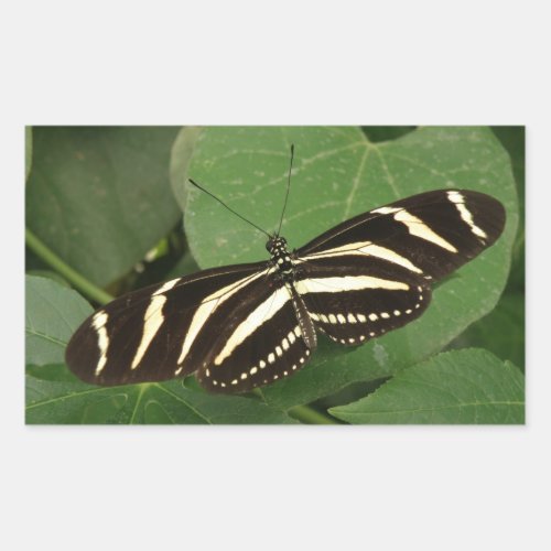 Zebra Longwing Butterfly Stickers