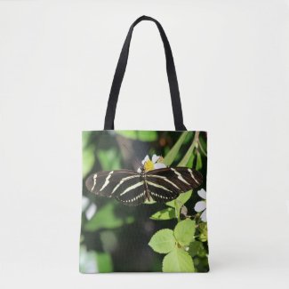 Zebra Longwing Butterfly