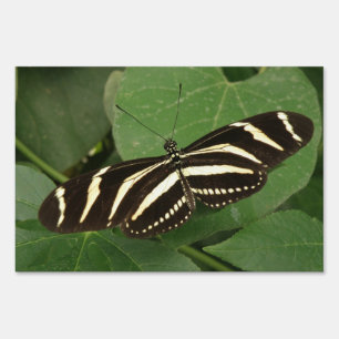 Zebra Longwing Butterfly Yard Sign
