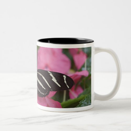 Zebra Longwing Heliconius charitonius Two_Tone Coffee Mug