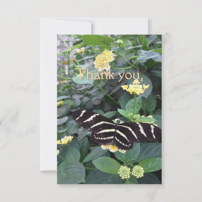 Zebra Longwing Thank You Card (Front)