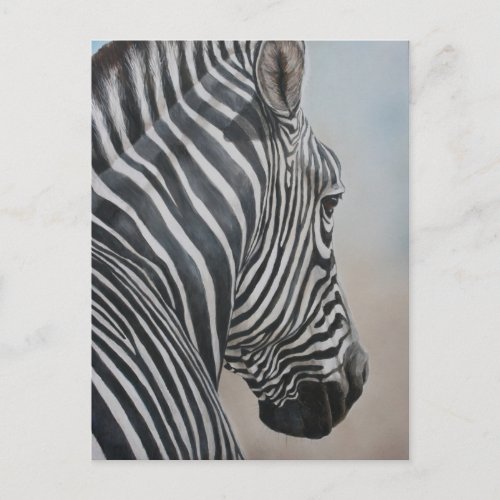 Zebra Look Wildlife Art Postcard