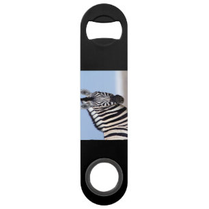 Zebra looking at you bar key