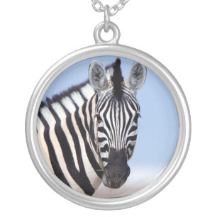 Zebra looking at you silver plated necklace