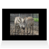 Zebra Love - blank Cards (Inside Horizontal (Top))