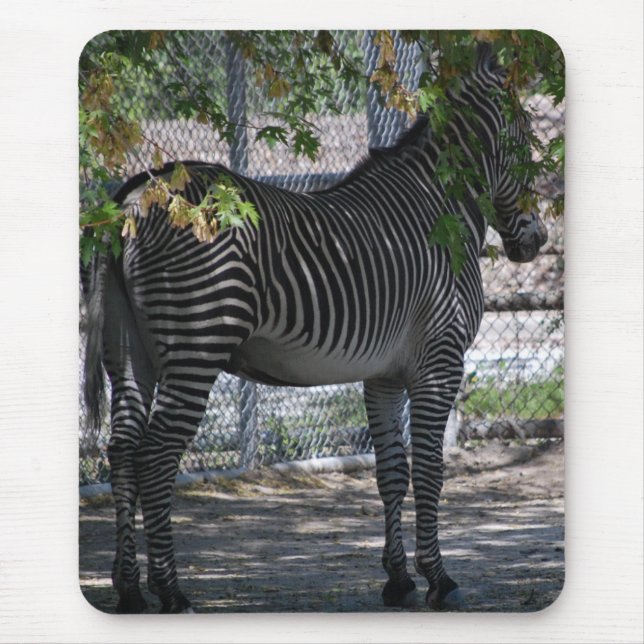 Zebra Love Mouse Pad (Front)