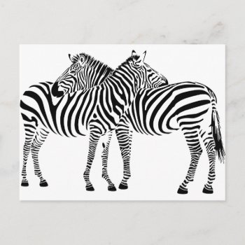 Zebra Love Postcard by UTeezSF at Zazzle