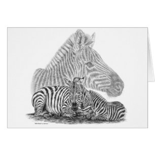 Zebra Mare and Foal Pencil Drawing by Kelli Swan Cards