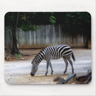 Zebra Mouse Pad