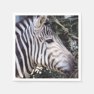 Zebra Napkins