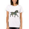 Zebra of a different color