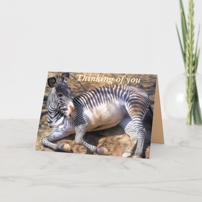 Zebra of love_ card (Front)