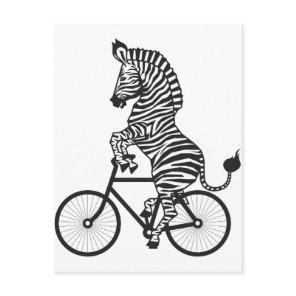 Zebra on Bike Postcard