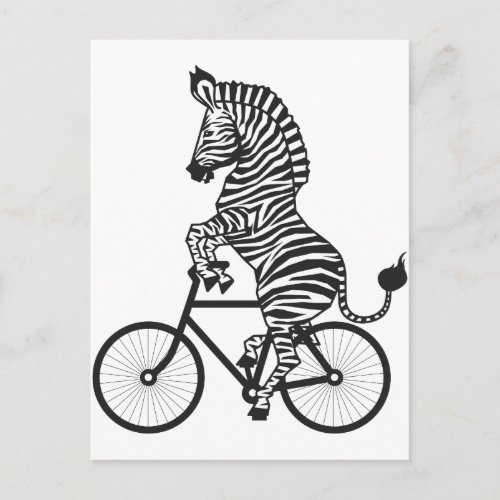 Zebra on Bike Postcard