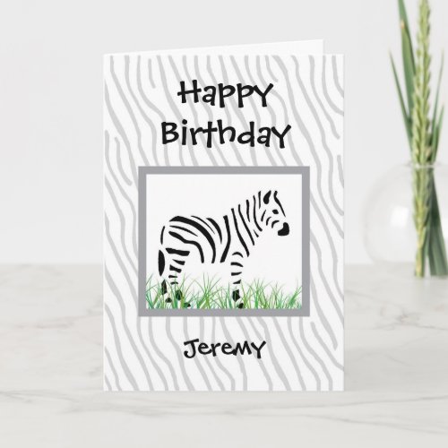 Zebra on white background