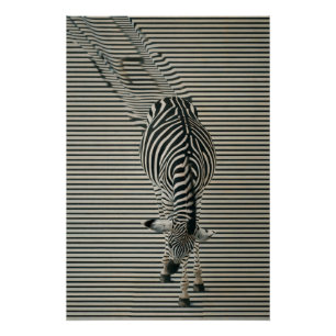 Zebra-Optik Poster Surrealistic animal art