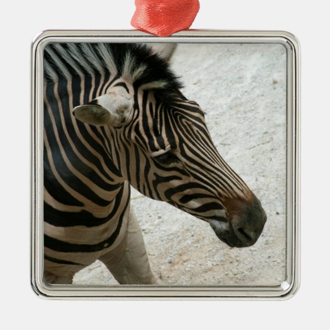 Zebra Ornament (Front)