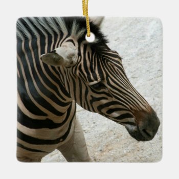 Zebra Ornament by lynnsphotos at Zazzle