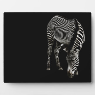 Zebra P4435 Plaque