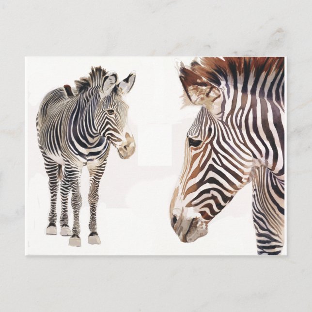 "Zebra Pair" Watercolor Wildlife Art Postcard (Front)