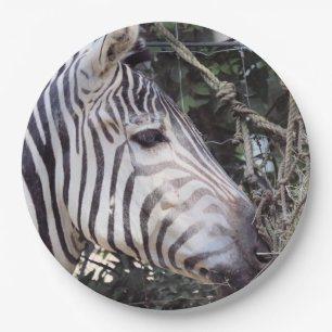Zebra Paper Plates