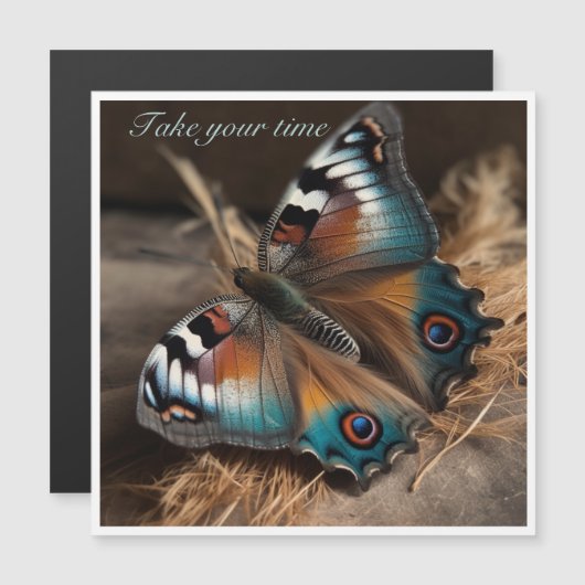 Zebra Peacock Butterfly Take Your Time (Front/Back)