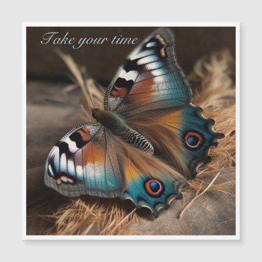 Zebra Peacock Butterfly Take Your Time (Front)