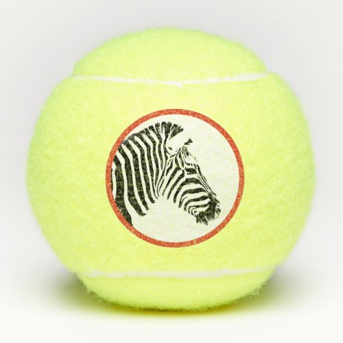 ZEBRA PENN 2 TENNIS BALL