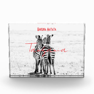 zebra photo block