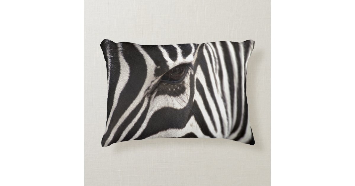 Zebra Pillow Zazzle
