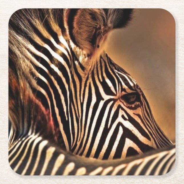 Zebra plastic coaster (Front)