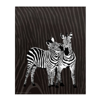 Zebra Play Acrylic Print