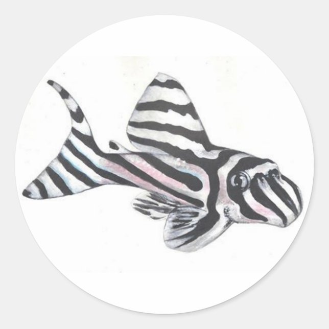 Zebra Pleco L46 Catfish Sticker (Front)