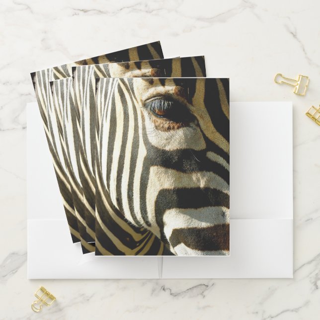 Zebra Pocket Folder (In Situ)