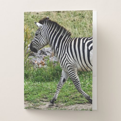 Zebra Pocket Folders