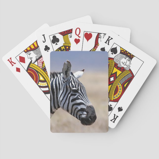 Zebra Poker Cards (Back)