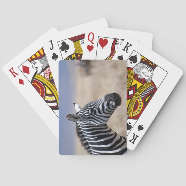 Zebra Poker Cards (Back)