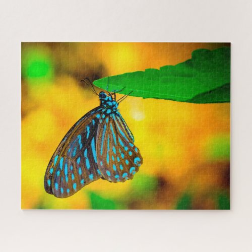 Zebra Polka Dot Butterfly Jigsaw Puzzle