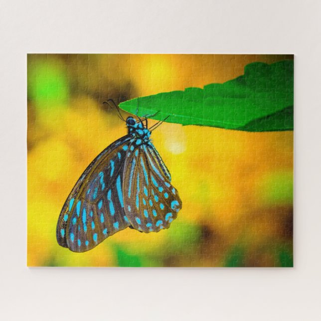 Zebra Polka Dot Butterfly. Jigsaw Puzzle (Horizontal)